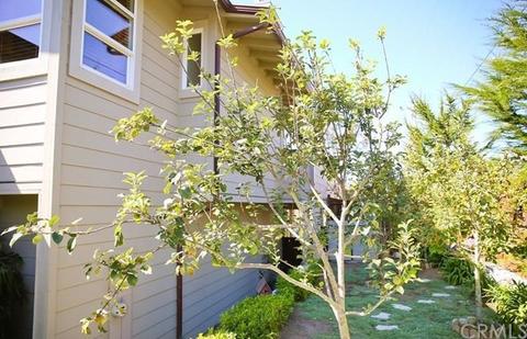 390 Jean St, Cambria, CA 93428 photo 45