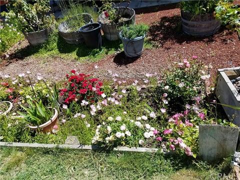 423 Appaloosa Dr, Paso Robles, CA 93446 photo 31