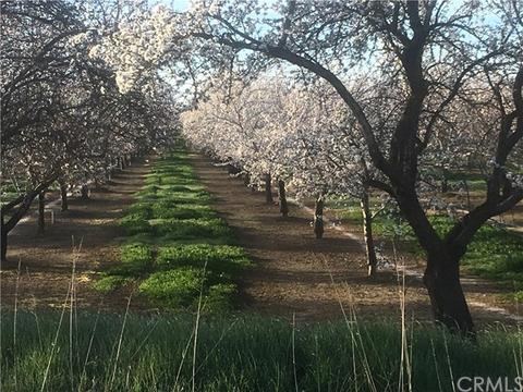 8101 County Road 30, Glenn, CA 95943 photo 19
