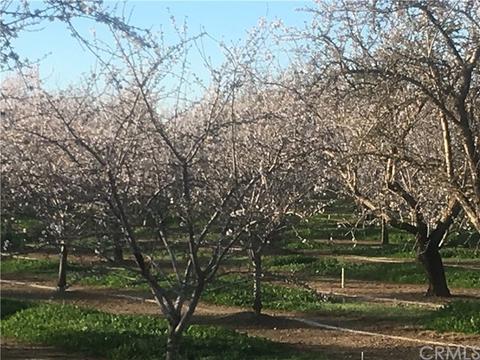 8101 County Road 30, Glenn, CA 95943 photo 18