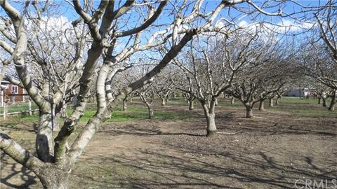 2013 Co Rd J, Willows, CA 95988 photo 32