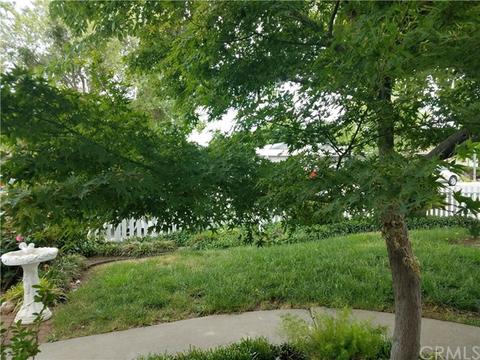 571 Glennwood Ln, Willows, CA 95988 photo 19