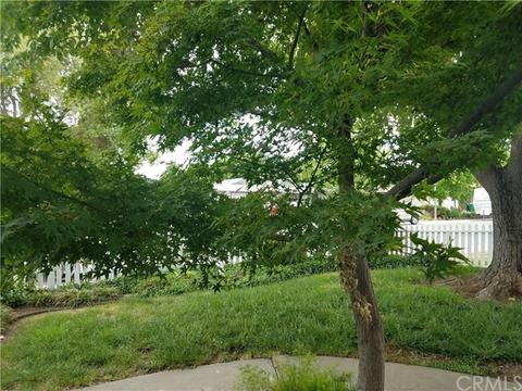 571 Glennwood Ln, Willows, CA 95988 photo 16