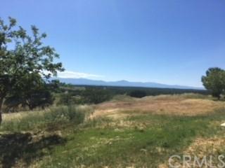 19825 Deer Valley Rd, Red Bluff, CA 96080 photo 15