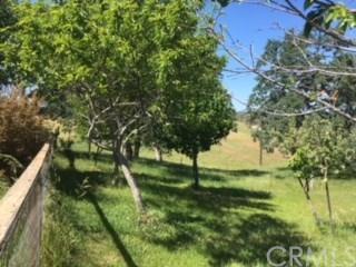 19825 Deer Valley Rd, Red Bluff, CA 96080 photo 9