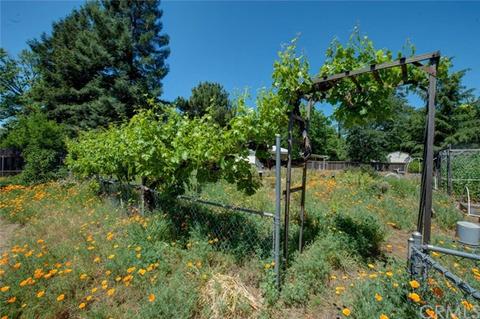 748 Sequoyah Ave, Chico, CA 95926 photo 23