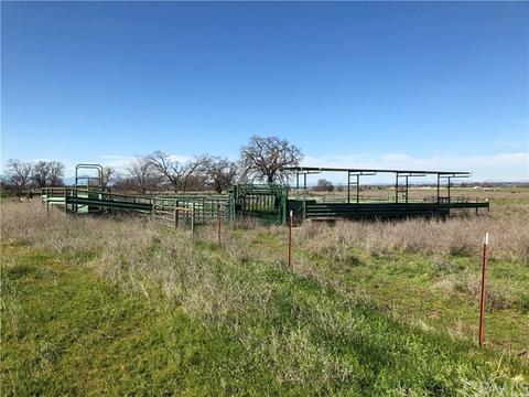 13990 Andreini Rd, Red Bluff, CA 96080 photo 11