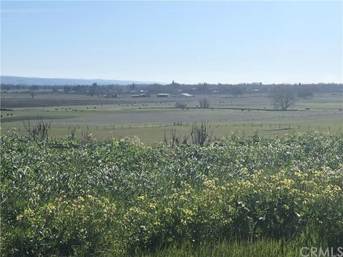 13990 Andreini Rd, Red Bluff, CA 96080 photo 2