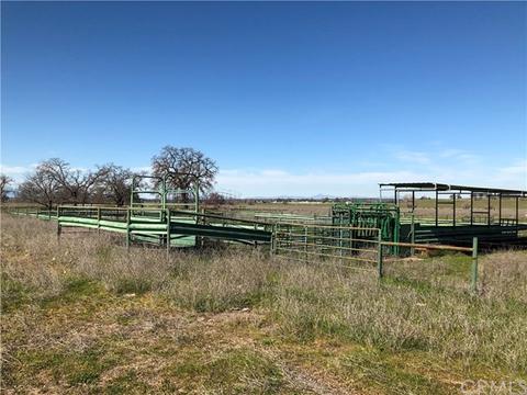 13990 Andreini Rd, Red Bluff, CA 96080 photo 12