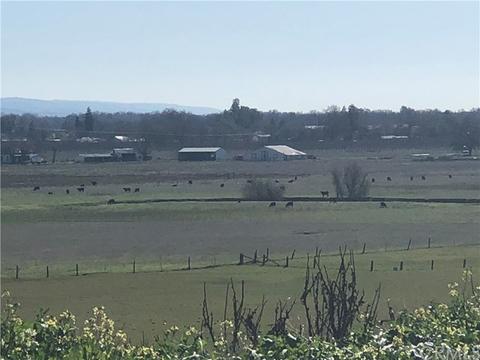 13990 Andreini Rd, Red Bluff, CA 96080 photo 3