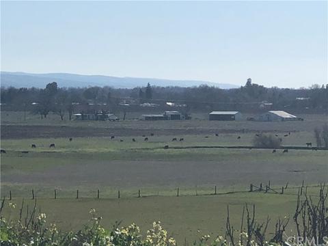 13990 Andreini Rd, Red Bluff, CA 96080 photo 1