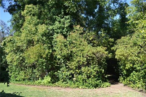 1012 Bryant Ave, Chico, CA 95926 photo 23