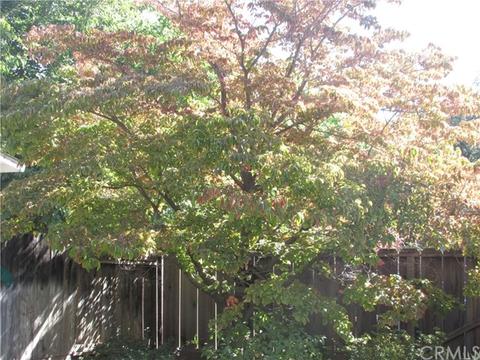1176 E 5th Ave, Chico, CA 95926 photo 18