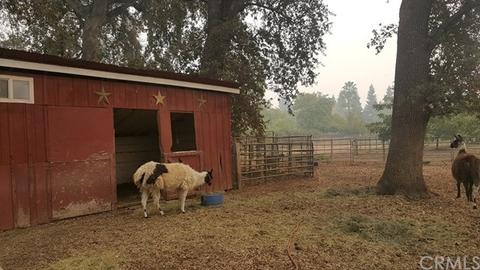 1869 Garden Rd, Durham, CA 95938 photo 13