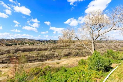 31948 Del Cielo Este #9, Bonsall, CA 92003 photo 22
