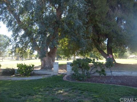 2811 Peach Tree St, Hemet, CA 92545 photo 6