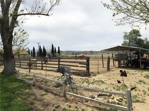 37791 Jack Ln, Anza, CA 92539 photo 27