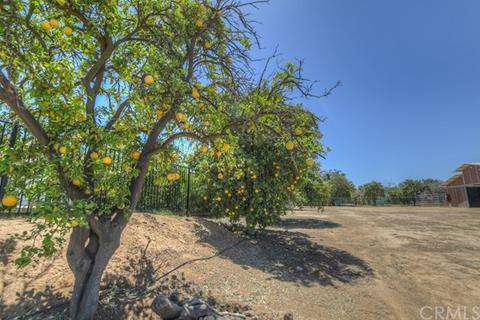 15601 Cecil Ave, Riverside, CA 92508 photo 56