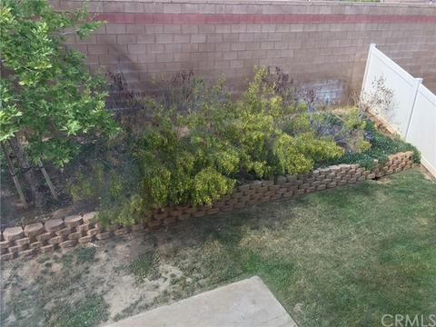 1306 Comfrey Leaf Dr, Beaumont, CA 92223 photo 38