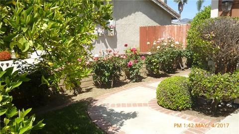 1212 Anthony St, Redlands, CA 92374 photo 3