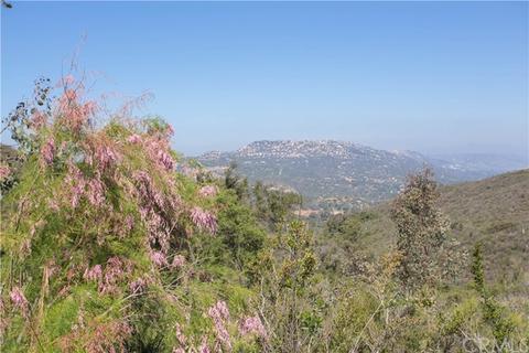38711 Magee Heights Way, Pala, CA 92059 photo 24