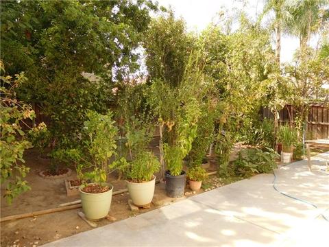 1128 Leopard Ln, Perris, CA 92571 photo 12