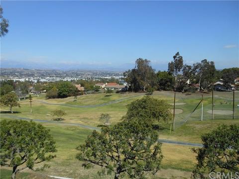 20321 Lake Canyon Dr, Walnut, CA 91789 photo 8