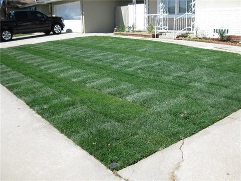 412 W Cornell Dr, Rialto, CA 92376 photo 5
