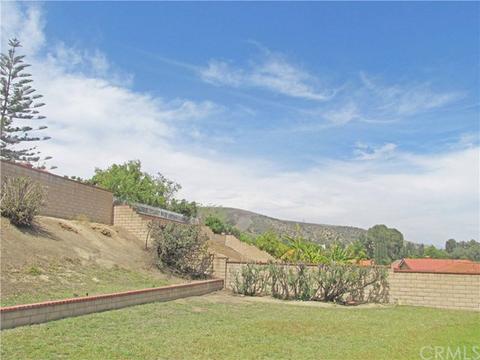 19343 Braes River Dr, Walnut, CA 91789 photo 19