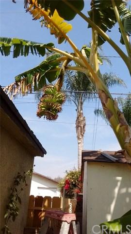 425 E Harding St, Long Beach, CA 90805 photo 34