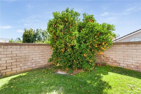 13030 Detroit Ct, Chino, CA 91710 photo 29