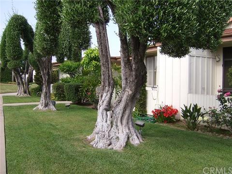 777 E Valley Blvd #98, Alhambra, CA 91801 photo 10