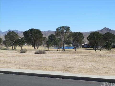 14768 D Clubhouse Dr, Helendale, CA 92342 photo 18