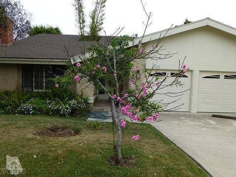 1690 Daphne St, Camarillo, CA 93010 photo 1