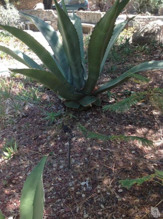 832 Oso Rd, Ojai, CA 93023 photo 1