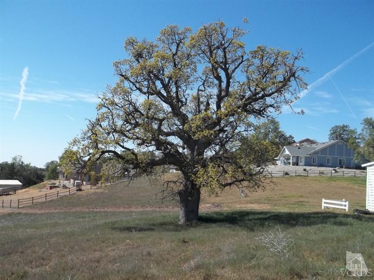 29810 Horsethief, Tehachapi, CA 93561 photo 1