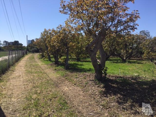 318 E Collins St, Oxnard, CA 93036 photo 1