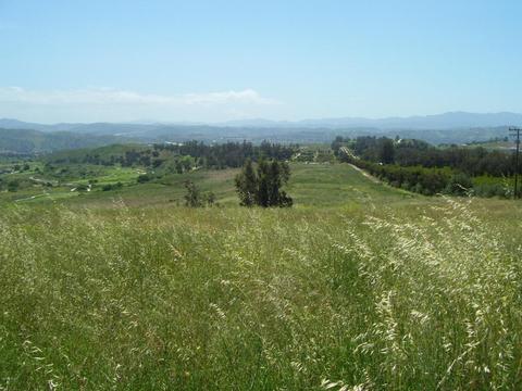 13555 E Broadway Rd, Moorpark, CA 93021 photo 1