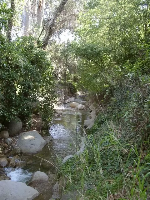 1247 E Valley Rd, Santa Barbara, CA 93108 photo 13