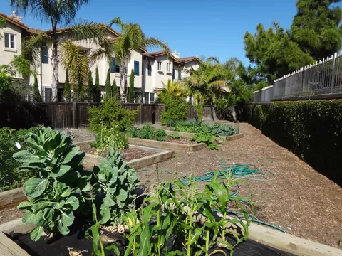 558 Springbrook Ct, Goleta, CA 93117 photo 12