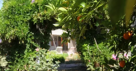 720 El Paseo Rd, Ojai, CA 93023 photo 29