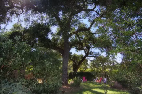 720 El Paseo Rd, Ojai, CA 93023 photo 27