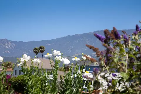 4963 3rd St, Carpinteria, CA 93013 photo 5