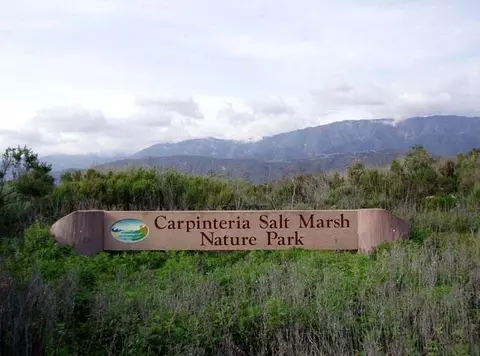 220 Elm Ave #8, Carpinteria, CA 93013 photo 8