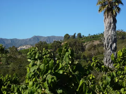 6915 Shepard Mesa Rd, Carpinteria, CA 93013 photo 4