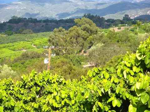 6915 Shepard Mesa Rd, Carpinteria, CA 93013 photo 5