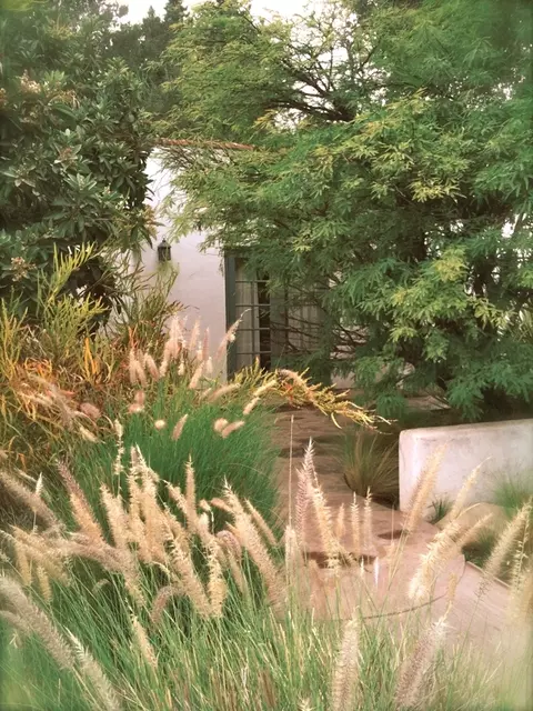 107 Canada St, Ojai, CA 93023 photo 9