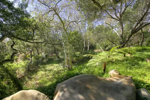 735 Via Manana, Montecito, CA 93108 photo 16