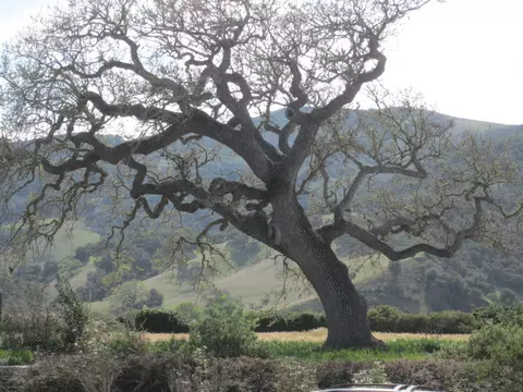 201 Valhalla Dr, Solvang, CA 93463 photo 2