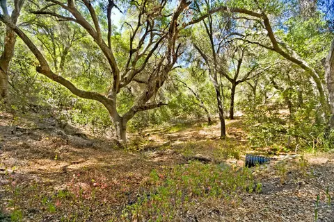 12121 Mountain Lion, Ojai, CA 93023 photo 3
